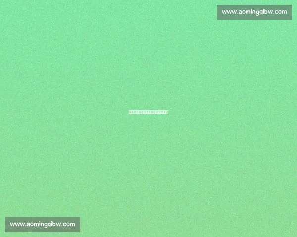 南半球的德甲迷：我的跨洋足球情缘