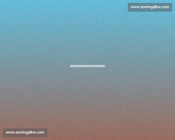 加斯帕特：欧冠夺冠是巴萨使命，诺坎普复兴之路开启