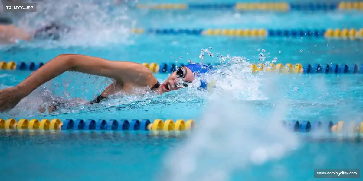 为什么选择我们