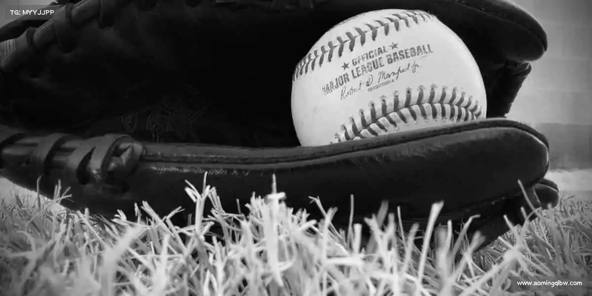 我们的品牌价值